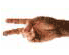 A hand displays three distinct gestures: extended index and middle fingers, a closed fist, and an open palm with all fingers spread, all against a plain white background.