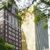 A pixelated static image shows a tall, light-colored structure resembling a tower or monument with green foliage on both sides under a bright sky.