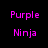 Four identical display purple text reading "Purple Ninja" on a black background