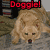 Pixelated dog image with text overlays in red, white, and blue across four