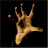 Animated icon shows a golden hand with dark palm, then flips to reveal a person in traditional attire holding an object.