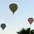 Three hot air balloons float against a light blue sky with a tree silhouette at the bottom, each balloon having distinct color patterns.