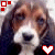A pixelated dog face with brown, white, and black fur appears in two side-by-side frames; the left frame shows a white heart symbol while the right displays a red heart.