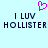 Pixelated icon with light blue background, purple heart symbol above text reading "I LUV HOLLISTER" in dark blue block letters.