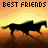 Animated contact sheet showing seven sequential frames of silhouetted horses running against a sunset background with "BEST FRIENDS" text at the top of each frame.