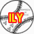 Four circular icons with black-and-white line art backgrounds; two display red-yellow text, one shows a red-yellow symbol, and one is grayed out.