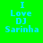 Green background with blue text reading "I Love DJ Sarinha" in pixelated font, with blue rectangular overlays on different text segments across frames.