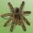 Pixelated brown spider with eight legs on a light green background, rendered in low-resolution style.