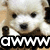 Pixelated close-up of a white dog's face with dark eyes and nose, overlaid by bold black-and-white text reading 'QWWWW' on a brown background.