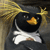 Pixelated penguin with black head, white chest, and orange beak, wearing a dark hat with yellow brim and white strap, against a blurred background.