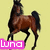 Brown horse with black mane and tail rearing on light yellow background, pink 'Luna' text overlay in bottom-left corner.