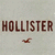 Pixelated brown text 'HOLLISTER' on light gray background with small pixelated bird below.