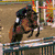 Six show horse racing scenes with a central blue displaying the word 'Beautiful' in black text