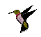 Pixelated hummingbird with green head, pink neck, black wings, and yellow wing patches in two flying poses against gray background.
