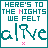 repeating text elements with alternating pink and teal color patterns in a pixelated style