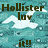 Pixelated image with teal background, white cloud, and dark brown text reading 'Hollister love it!!' in three lines.