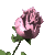 A 3x3 contact sheet of eight animated frames showing a pink rose with green leaves against a gray background, displaying subtle bloom progression and petal movement across sampled frames.