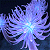 Pixelated blue and white animated icon with radiating lines on dark background, next to green text reading Original Icons .com.