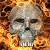 Pixelated skull with closed eyes surrounded by orange and brown flames on left, green background with "Original Icons .com" text on right.