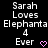 Pixelated text reads 'Sarah Loves Elephanta 4 Ever' with a pink heart symbol on black background.