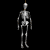 A contact sheet of eight animated frames showing a silver skeleton in various poses against a black background with a gray transparency indicator.