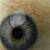 A static pixelated image of a stylized eye with a black pupil, brown iris ring, and grayish-blue sclera against a beige background.