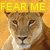 six lion head images with yellow text overlays on a solid orange background