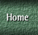 Green circular icon with four leaf clover design on textured gray background, showing multiple states including flat and 3D views.