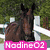 A static image of a horse and rider in a show jumping scene with text overlays.
