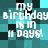 Pixelated text reads 'my birthday is in 11 days!' on a teal and black checkered background with visible pixelation and slight text distortion.