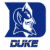 Blue and white pixelated icons featuring a knight's helmet silhouette inside a 'D' shape, with text below reading DUKE or CHICK.