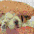 Pixelated image of a character with light-colored hair and dark eyes, wearing a brown top against a multicolored background.