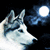 A husky dog's head in profile against a dark night sky with a bright full moon and faint clouds, displayed in a four