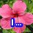 Pink flowers with green foliage background; blue icons displaying 'L' and 'H' letters over the image.