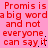 Red text on pink background repeats 'Promis is a big word and not everyone can say it' in two with pixelated edges