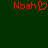 Red pixelated text 'Noah' appears twice on a dark green background, with the left instance featuring a heart symbol replacing the letter 'o'.