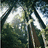Pixelated forest scene with green text overlays reading 'is it bigger than your shoe?', 'Take a buddy :)', and 'It's not a running game!'