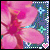 iconhell_msznotorious_LVflOwer