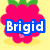 Pixelated icon with pink flower-like shape on yellow background and blue text 'Brigid' on left; cupcake with blue frosting and large eyes on light gray background with cyan text 'Rocks' on right.