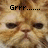 A pixelated cat face with text overlays reading 'Grrr.......' and 'Mad Kitty!!', showing a static image.