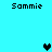 Pixelated text 'Sammie' appears four times on a cyan background with three heart icons in different positions.