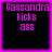 Four identical pixelated display 'Cassandra kicks ass' text in bright pink on black background with thick pink border