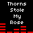 Black background with white text reading 'Thorns Stole My Rose' and red horizontal bar graphs in two , showing animated bar height changes