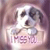 Holiday icons for AIM, MSN, MySpace and Yahoo