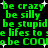 Green pixelated text repeats 'be crazy be silly be stupid' phrases with white sparkles on black background.