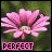 iconhell_ur0ckmiiw0rld_Perfect