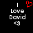 A black background displays two identical pixelated text blocks with 'I Love David <3' and a red heart symbol above the left block.
