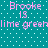 Pixelated text 'Brooke IS lime greenlime green' repeated in two on a teal background with white dots
