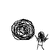 A static 50x50 pixel buddy icon featuring a stick figure holding a large spiral object with text reading "Shes coming Tonight" in black serif font on white background.