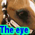 six horse images with blue text overlays reading "The eye Is the Key to The horses SOUL" in cyan-outlined letters